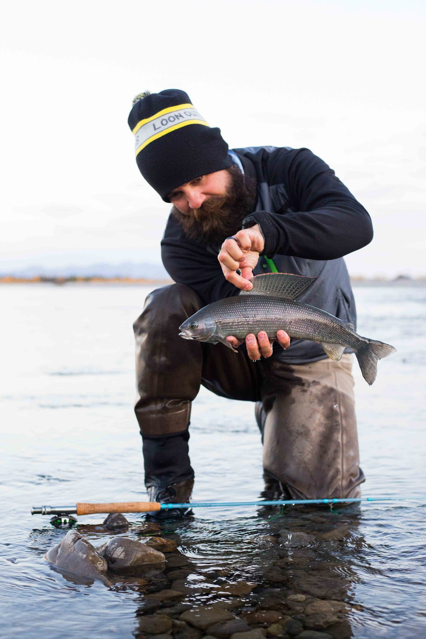 Exploratory Dolly Varden