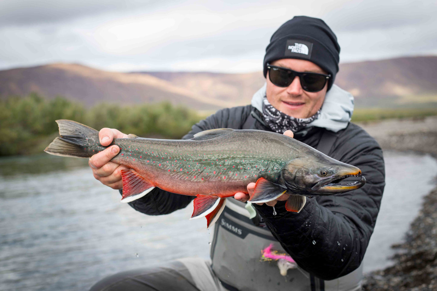 Exploratory Dolly Varden