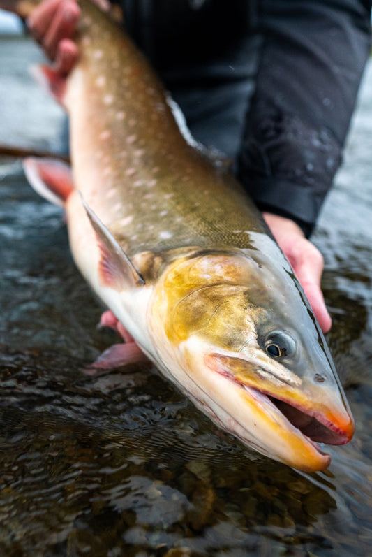 Arctic Char Expedition